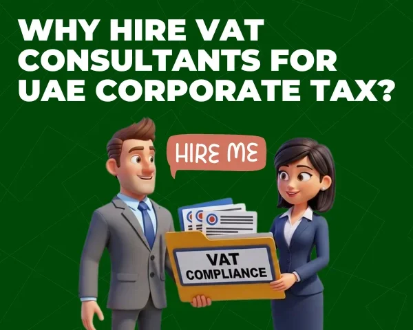 VAT Consultant