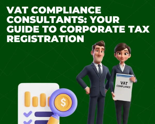 vat compliance consultant